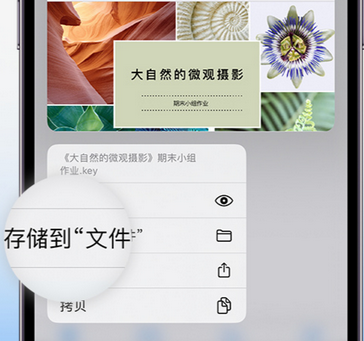 冷水滩apple维修中心分享iPhone文件应用中存储和找到下载文件