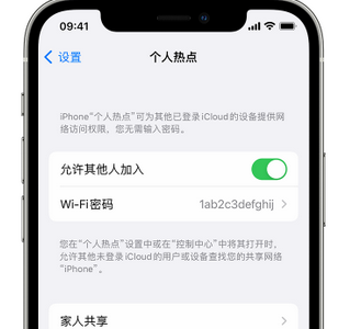 冷水滩apple服务站点分享iPhone上个人热点丢失了怎么办