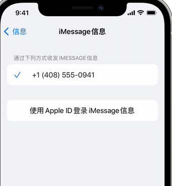 冷水滩apple维修iPhone上无法正常发送iMessage信息 