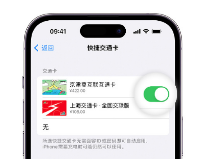 冷水滩apple维修点分享iPhone上更换Apple Pay快捷交通卡手绘卡面 