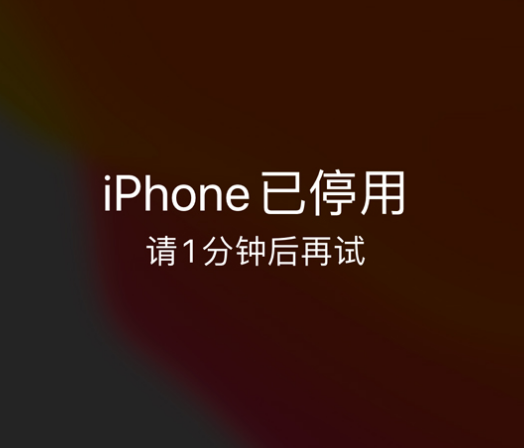 冷水滩苹果手机维修分享:iPhone 显示“不可用”或“已停用”怎么办？还能保留数据吗？ 