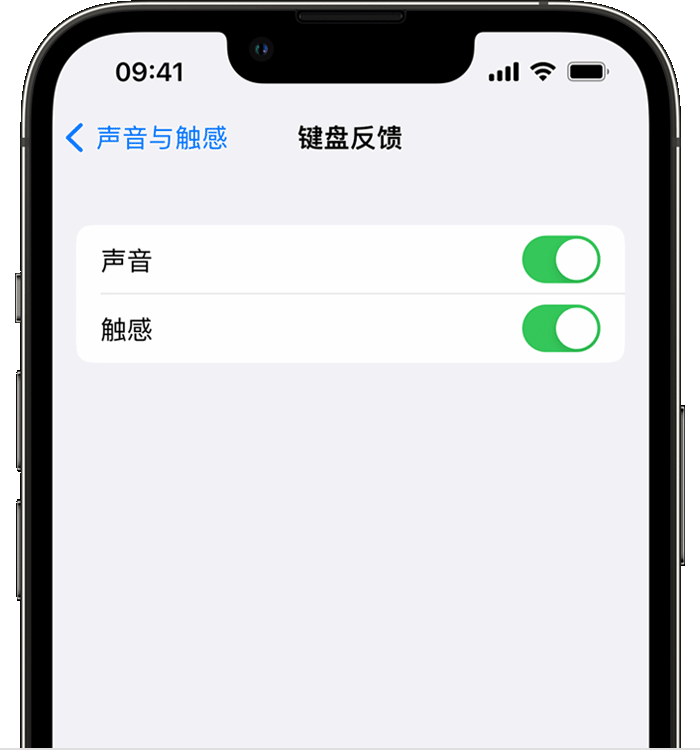 冷水滩苹果14维修店分享如何在 iPhone 14 机型中使用触感键盘 