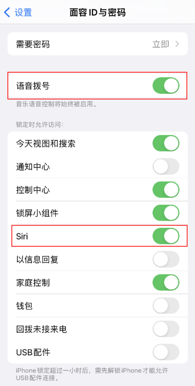 冷水滩苹果维修网点分享不解锁 iPhone 的情况下通过 Siri 拨打电话的方法 