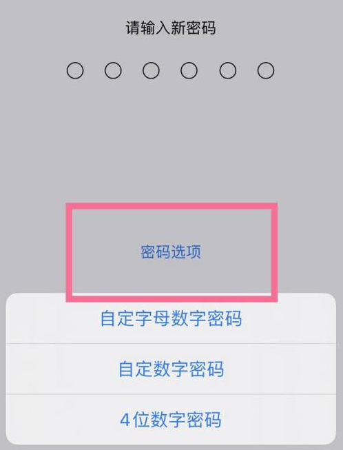 冷水滩苹果14维修分享iPhone 14plus设置密码的方法 