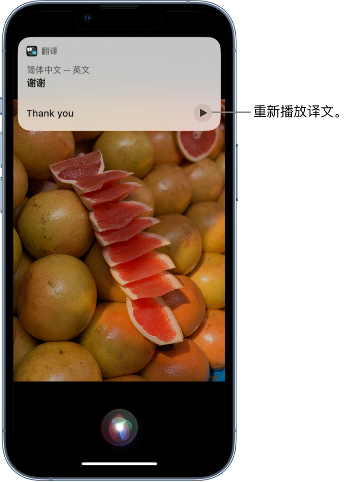 冷水滩苹果14维修分享 iPhone 14 机型中使用 Siri：了解 Siri 能帮你做什么 