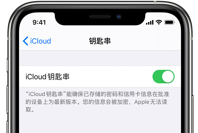 冷水滩苹果手机维修分享在 iPhone 上开启 iCloud 钥匙串之后会储存哪些信息 